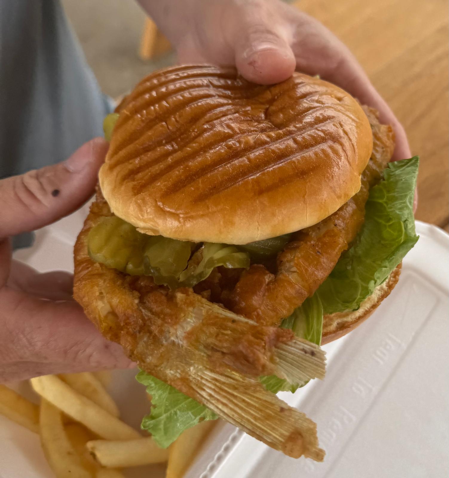 Crispy fish sandwich with pickles and lettuce